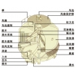 冷却塔构造